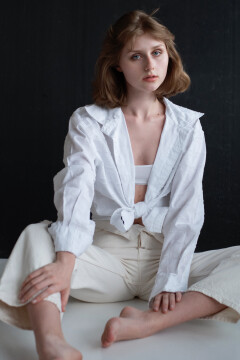 Vlada
